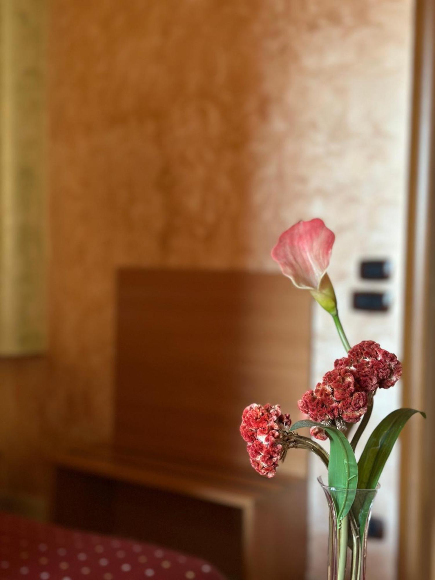 Hotel Il Giardino Degli Aranci Nola Eksteriør bilde